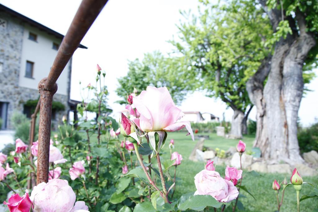 Massoni Bed & Breakfast